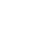 a33